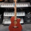 Cole Clark AN2EC All Mahogany - Image 2