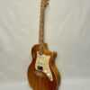 Cole Clark True Hybrid TL2EC-BLBL-MOPCUST - Image 3