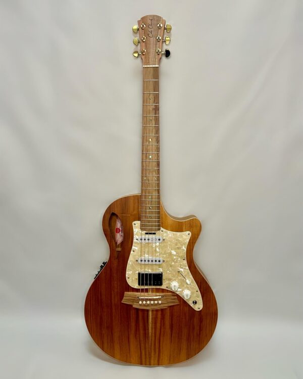 Cole Clark True Hybrid TL2EC-BLBL-MOPCUST