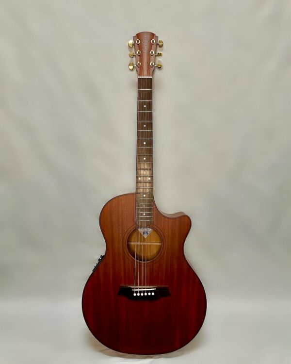 Cole Clark AN2EC All Mahogany