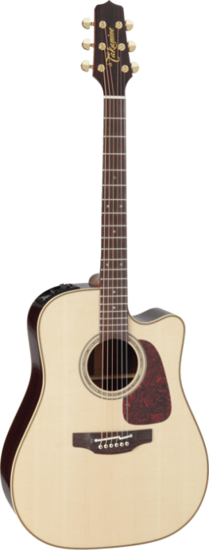 Takamine P5DC Rosewood