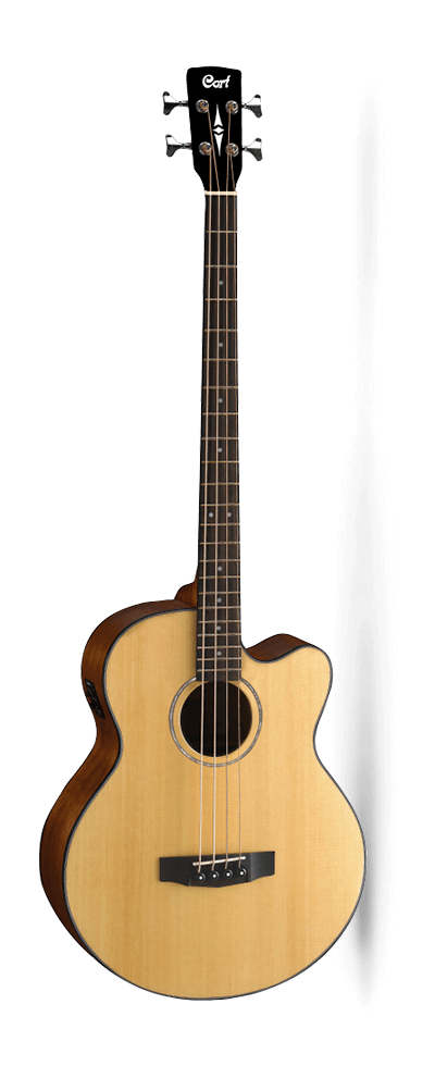 Cort AB850F Acoustic Bass