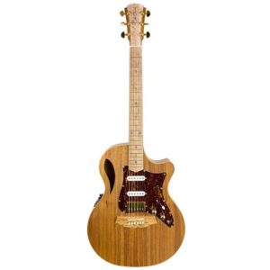Cole Clark True Hybrid Thinline BL-BL