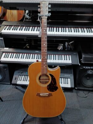 1985 Maton CW80/60 - refurbished