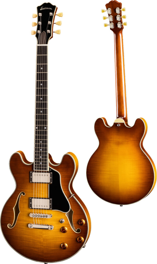 Eastman T484 Goldburst