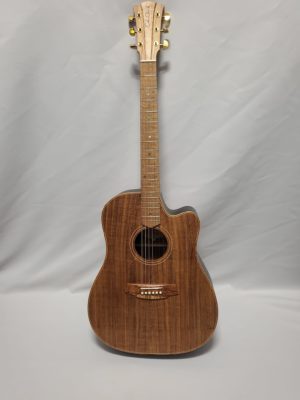 Cole Clark FL2EC All Blackwood Black Stage Custom