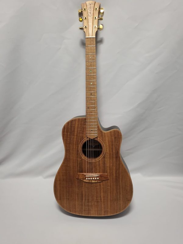 Cole Clark FL2EC All Blackwood Black Stage Custom