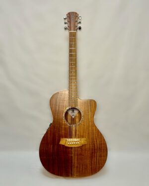 Cole Clark SAN1EC BLBL all Blackwood